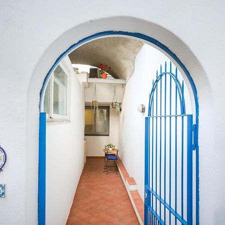 Appartamento Panoramico La Rosa Dei Venti - Maestrale Ischia Zewnętrze zdjęcie