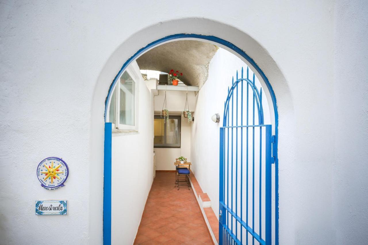 Appartamento Panoramico La Rosa Dei Venti - Maestrale Ischia Zewnętrze zdjęcie